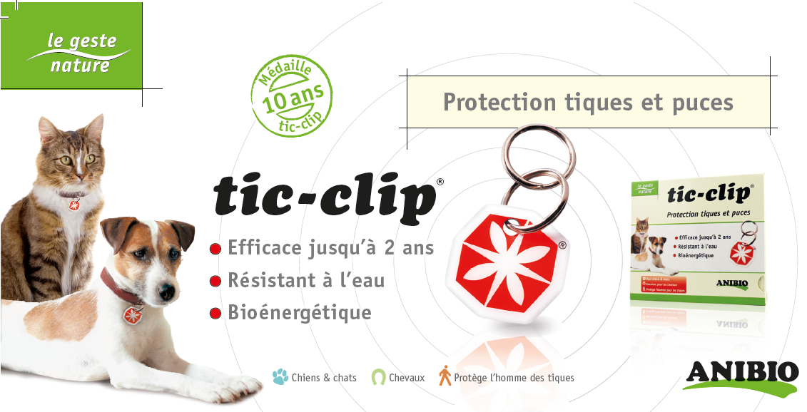TIC CLIP CHIENS CHATS – Image 2