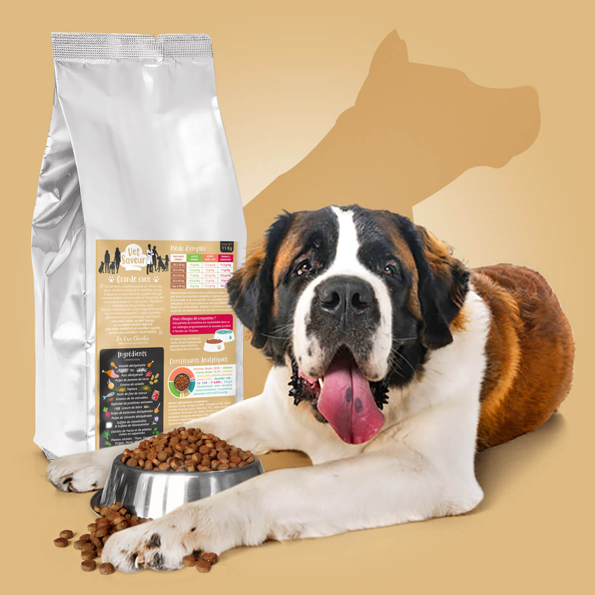 Croquettes VET SAVEUR CHIEN GRANDE RACE