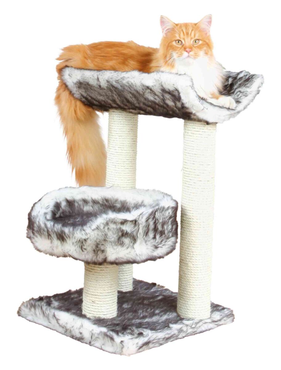 Arbre à chat Isaba