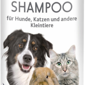 Shampoing sec