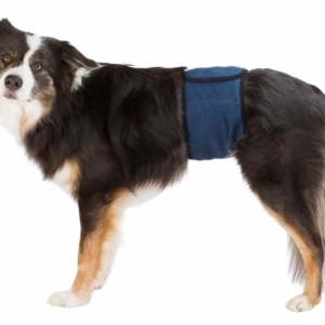 Couches lavables pour chiens mâles