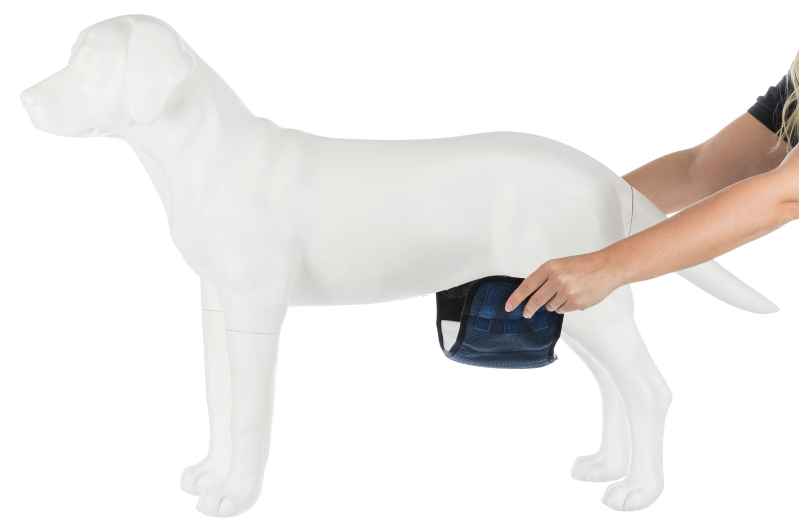 Couches lavables pour chiens mâles – Image 5