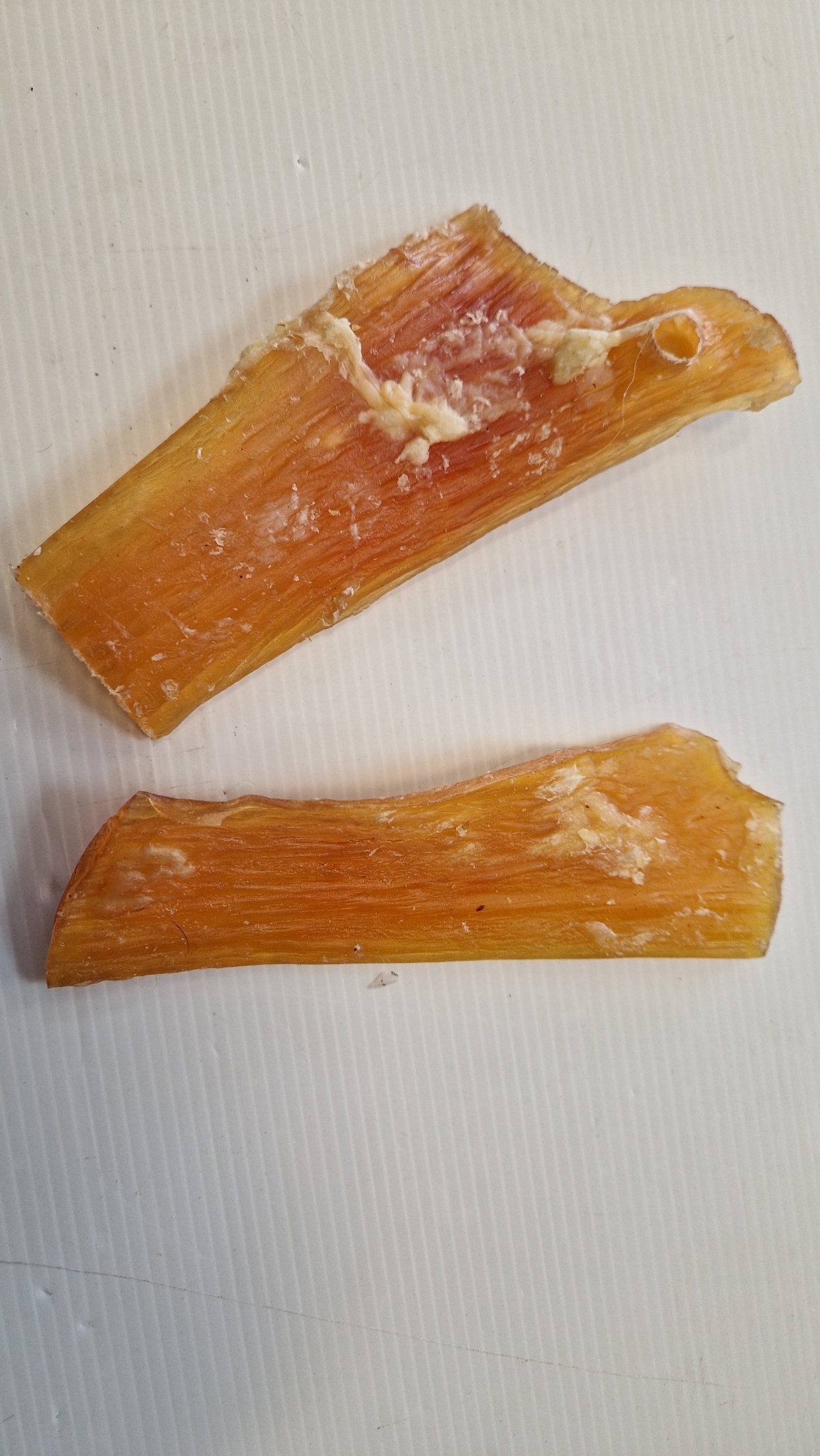 TENDON BŒUF