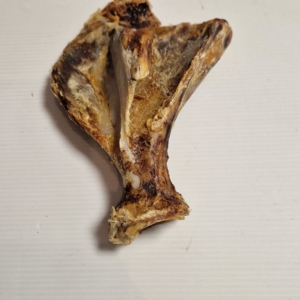 OMOPLATE PORC