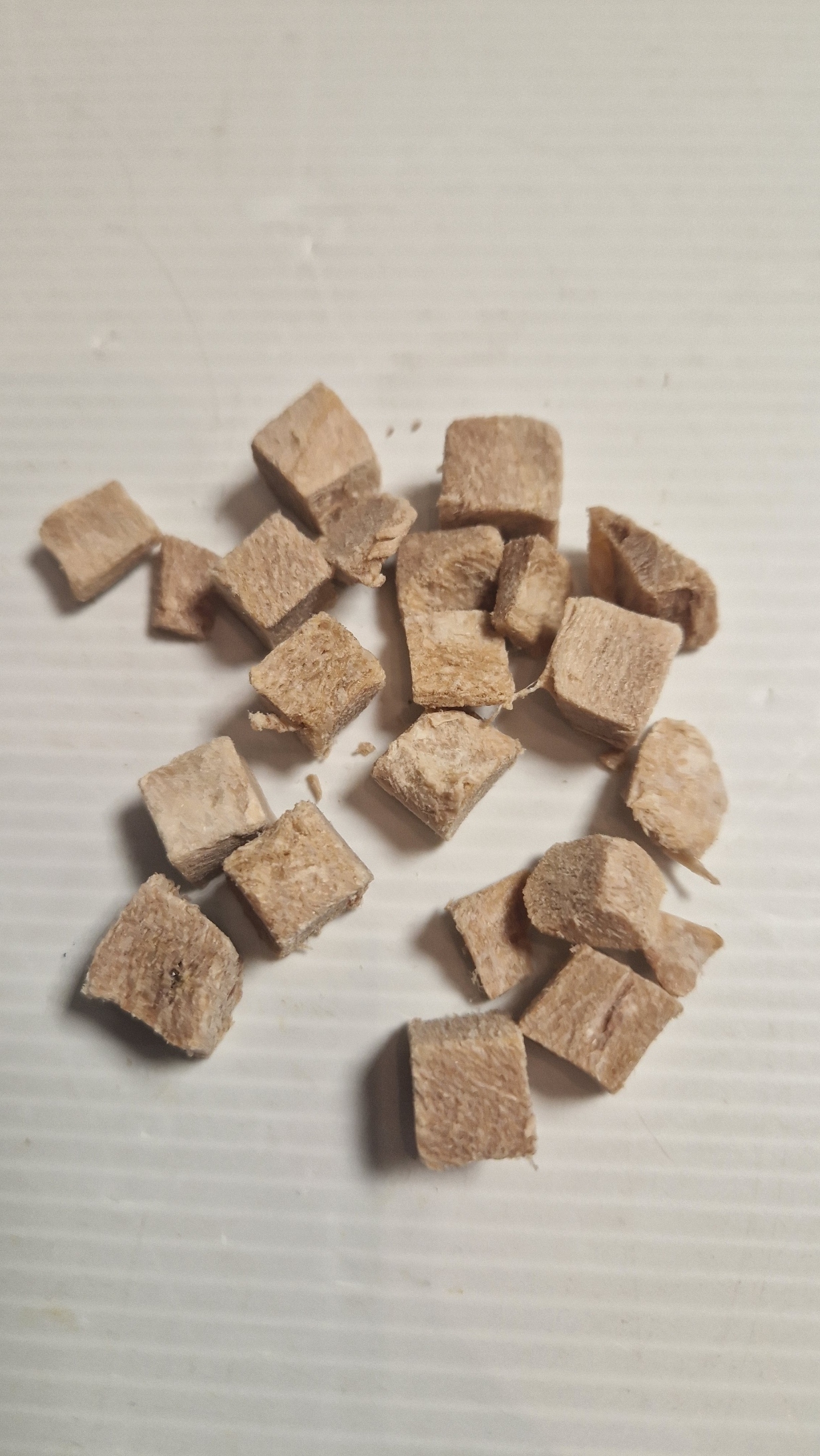 Magret de canard lyophilisé 50g