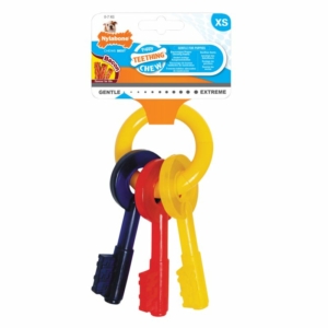 CLÉS DE DENTITION POUR CHIOTS NYLABONE