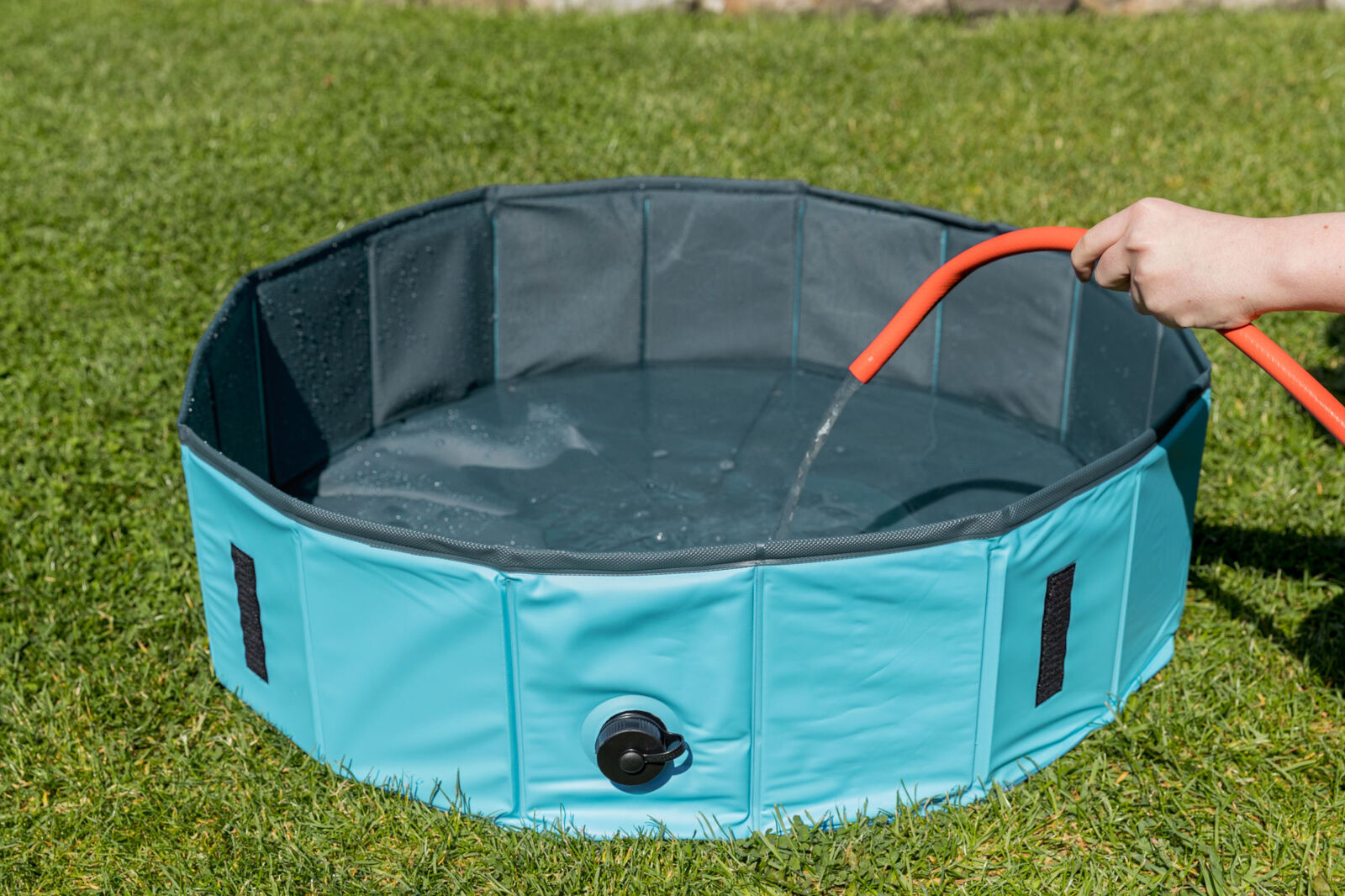 Piscine pour chiens – Image 5