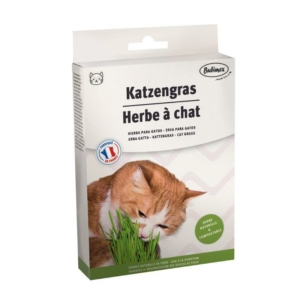 Herbe à chat 100g