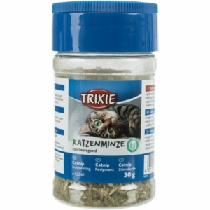 Catnip séché
