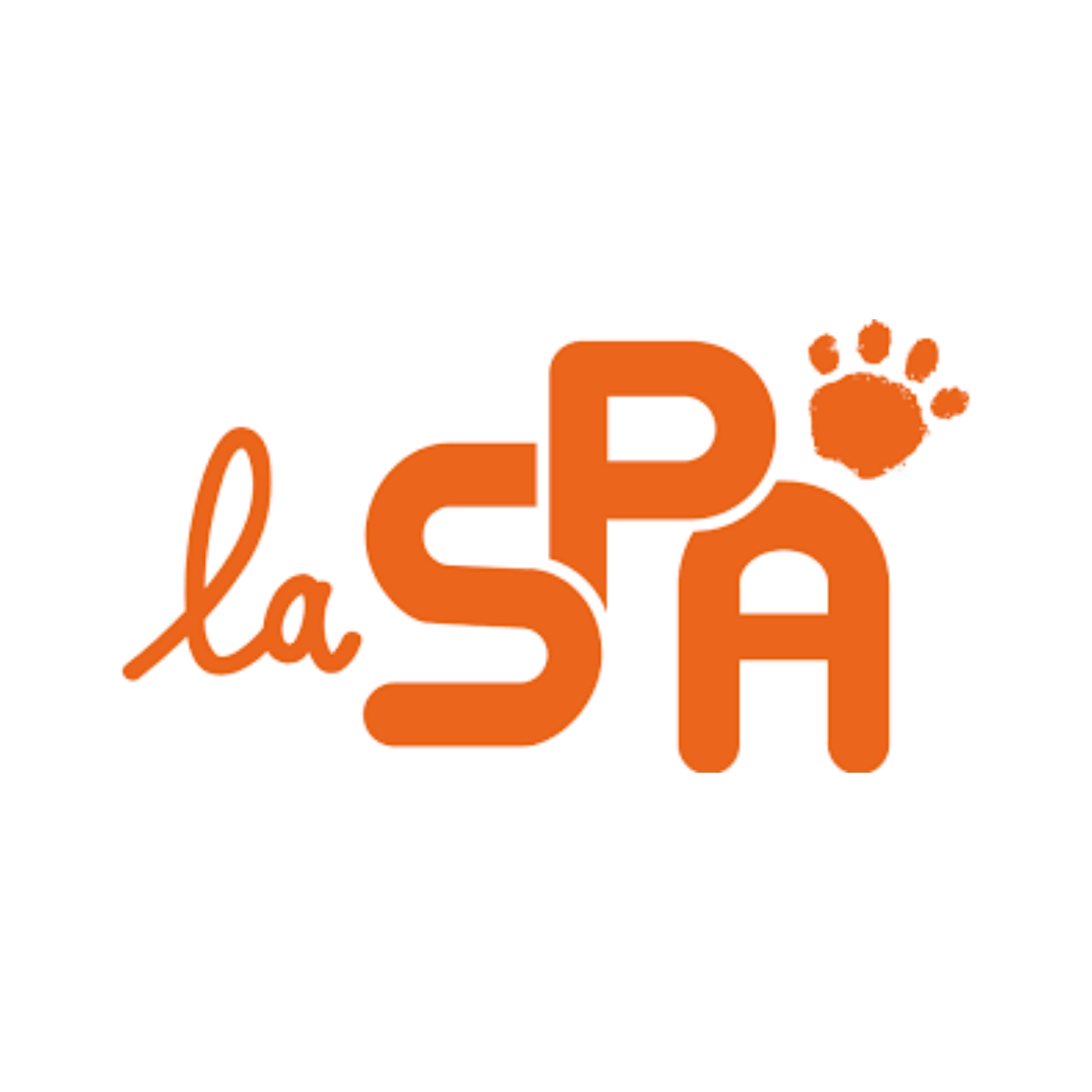 SPA SPA