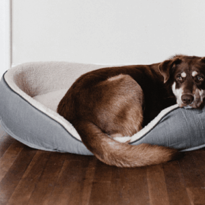 Coussins - paniers pour chiens