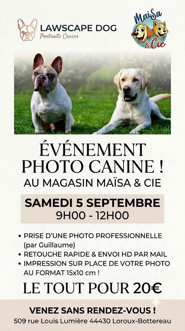 évènement évènement