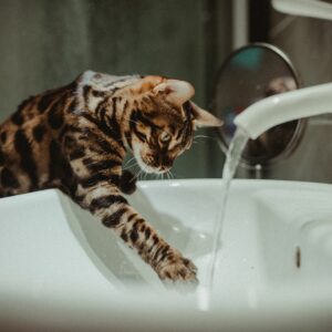 Soins et hygiène