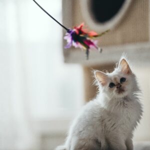 Jouets