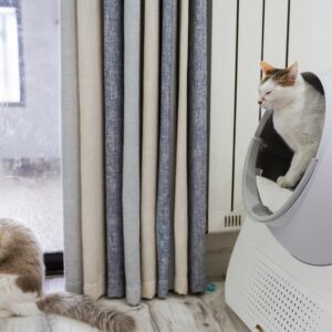 Bacs à litière et accessoires